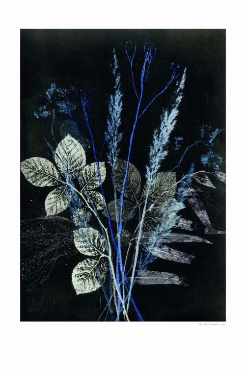 Die neue Kollektion Botanical Spaces von Pernille Folcarelli ist ein Als weiterer Tribut an die Natur und ihre Vielfalt spiegelt die neue Kollektion unterschiedliche Stile wider – von einem femininen, poetischen und weichen bis zu einer dunkleren grafischen Interpretation der Naturelemente. Die Kollektion umfasst Druck, Tapeten, Textilien und Accessoires. Im Bild: «Wild bouquet blue». Pernille Folcarelli.